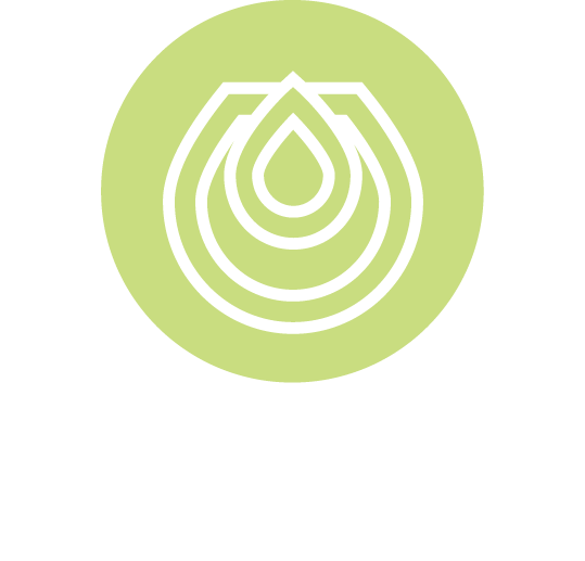 dongvumcm